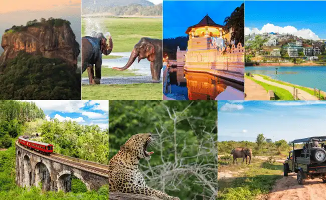 best sri lanka safari and wildlife tour