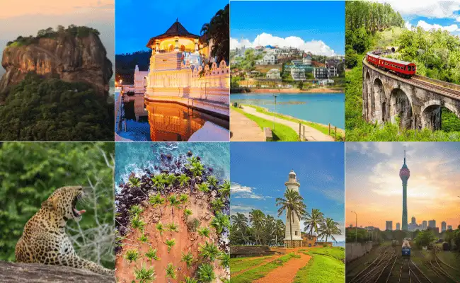 highlights of sri lanka tour