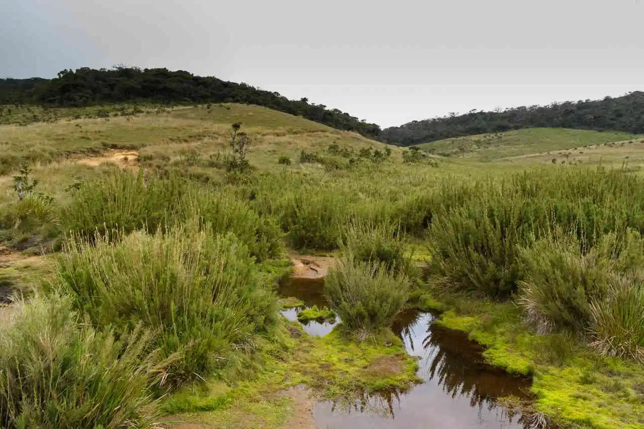 horton-plains-national-park-sri-lanka-hike-nuwara-eliya