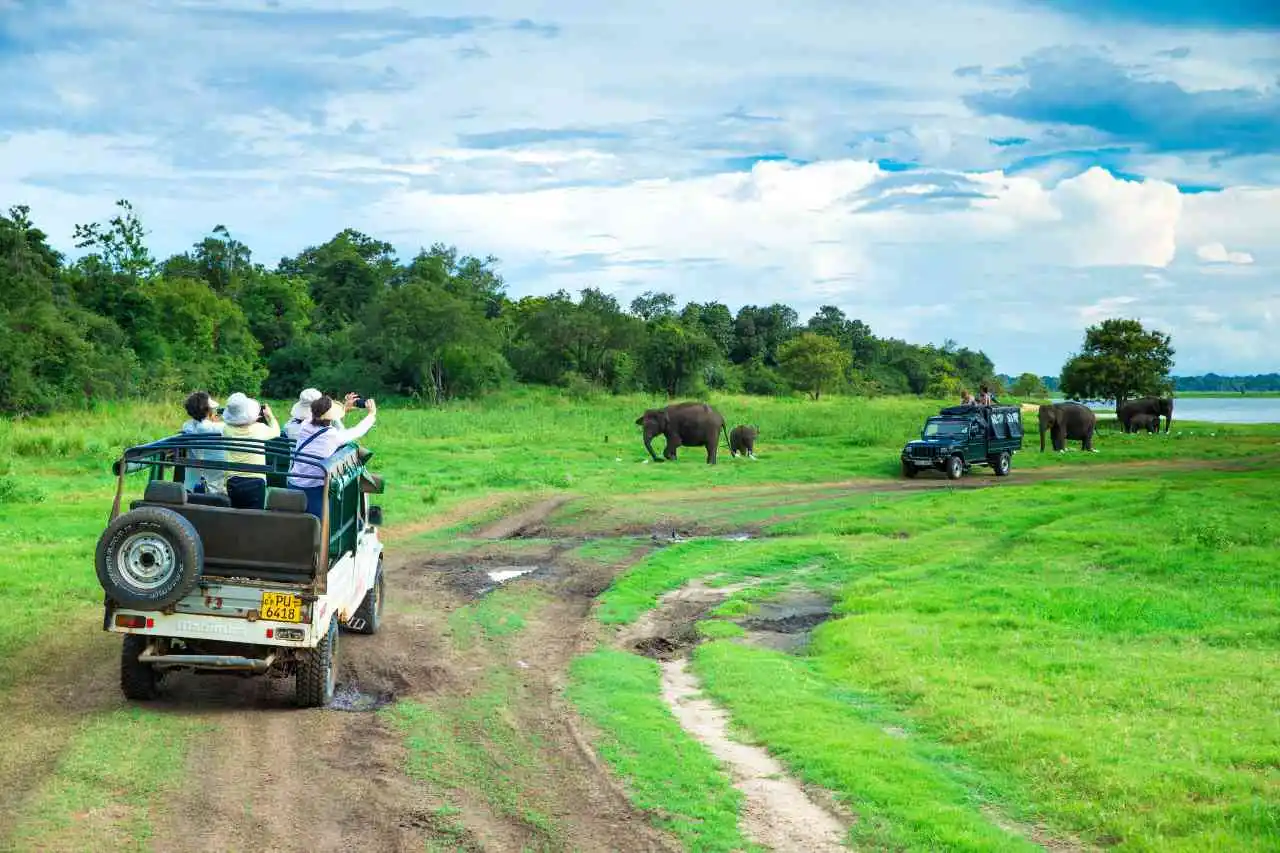 minneriya-elephant-jeep-safari-national-park-sri-lanka