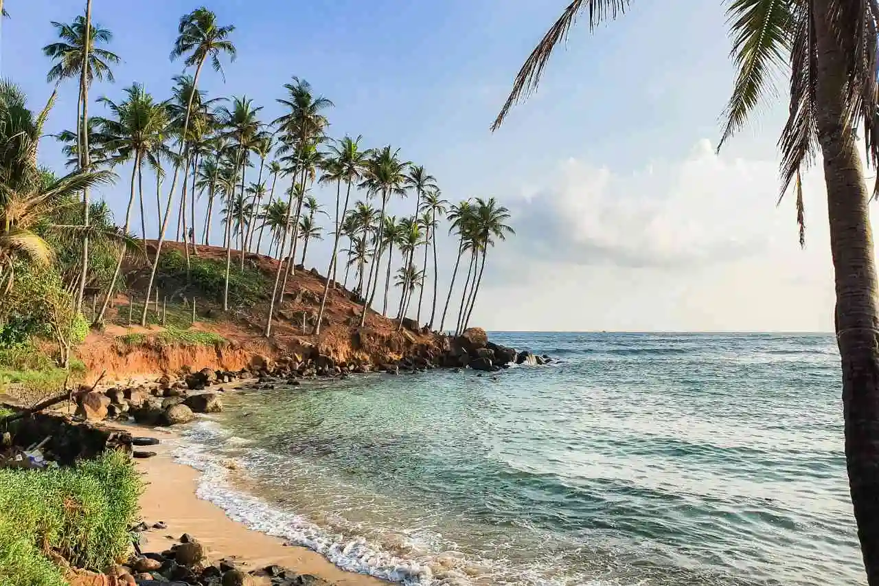 mirissa-coconut-tree-hill-beach-sri-lanka-down-south