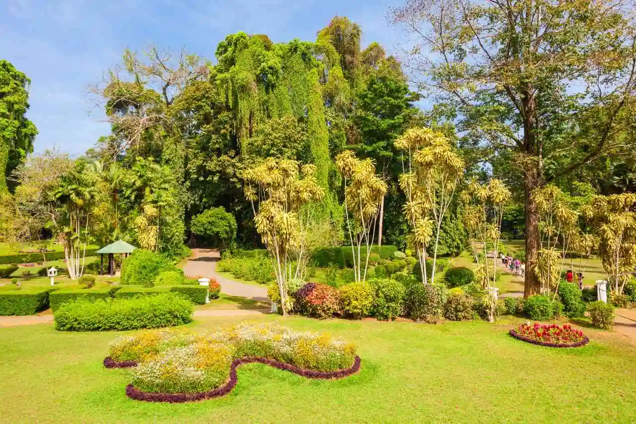 peradeniya-botanical-garden-kandy-sri-lanka-flower-garden-park
