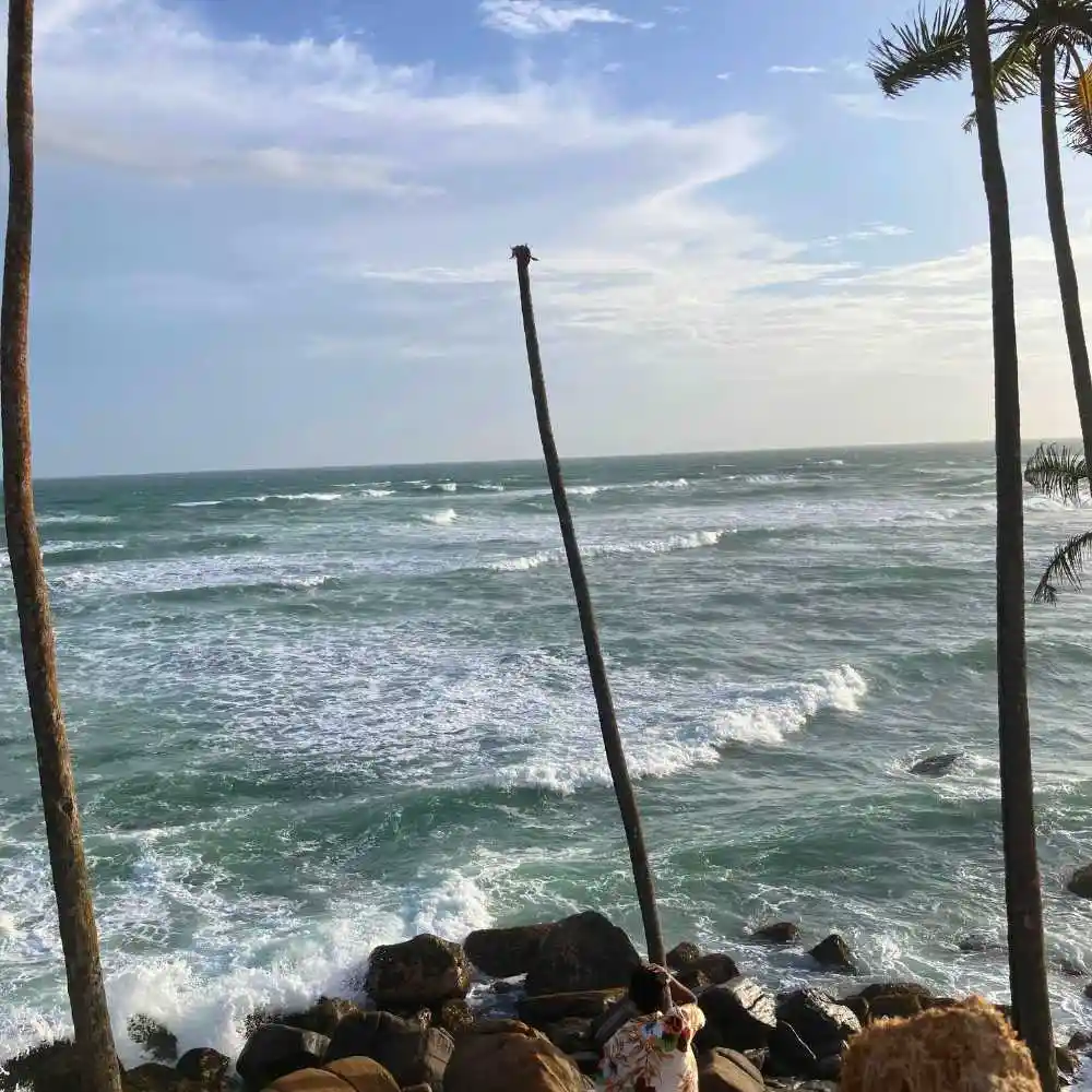 serendib-events-and-tours-management-sri-lanka-tour-operator-mirissa-coconut-tree-hill