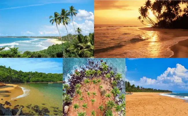south sri lanka best beaches